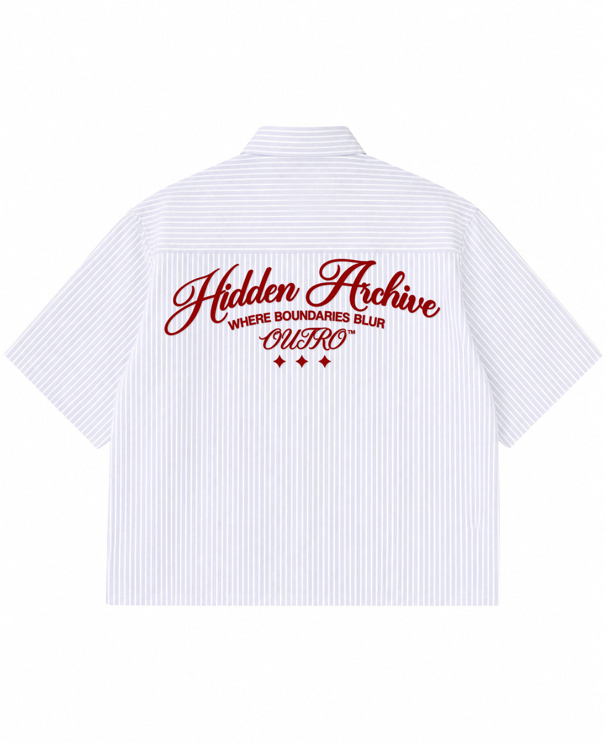 Blue Striped Oxford Boxy Shirt Back Design